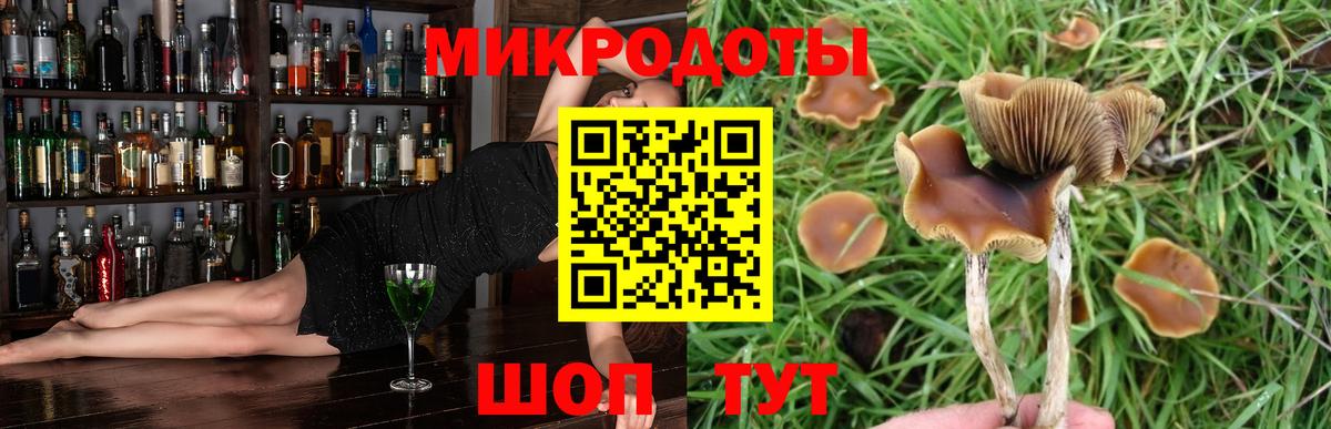 Псилоцибиновые грибы GOLDEN TEACHER Чита