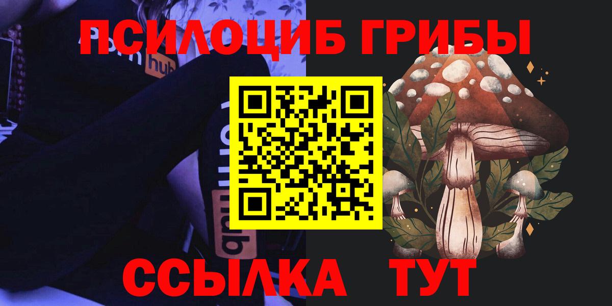 Чита  Галлюциногенные грибы MAGIC MUSHROOMS  Вход с VPN 
